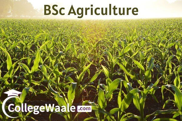B.Sc - Agriculture (B.Sc Agriculture)
