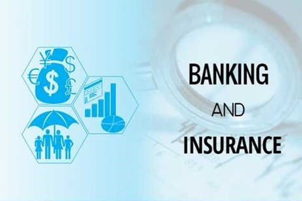 B.Com in Banking and Insurance